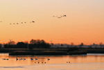 Abendstimmung in der Krummhörn