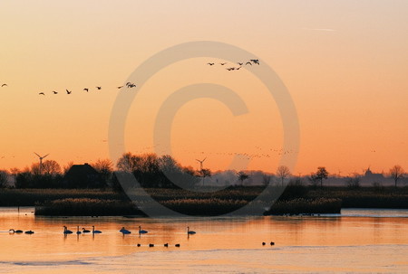 Abendstimmung in der Krummhörn