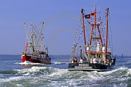 Kutterregatta Neuharlingersiel