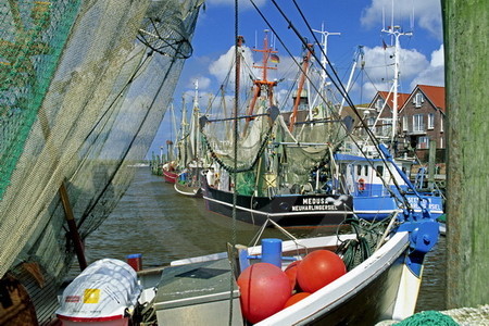 Kutterhafen Neuharlingersiel