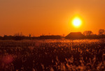 Morgenstimmung bei Greetsiel