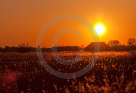 Morgenstimmung bei Greetsiel