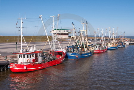 Krabbenkutterflotte Westeraccumersiel