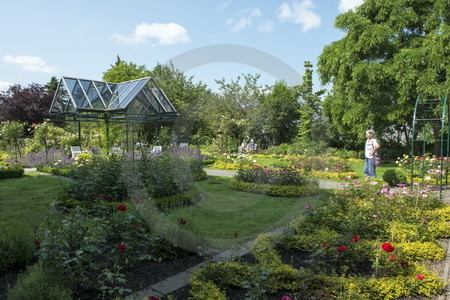 Rosarium Wilhelmshaven