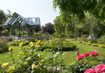 Rosarium Wilhelmshaven