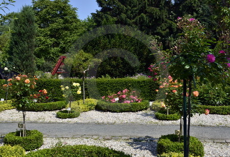 Rosarium Wilhelmshaven