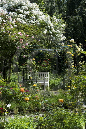 Rosarium Wilhelmshaven