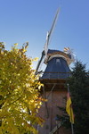 Ditzumer Mühle