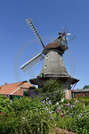 Windmühle in Jemgum