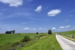 Landschaft bei Jemgum