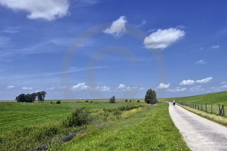 Landschaft bei Jemgum