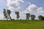 Landschaft bei Jemgum