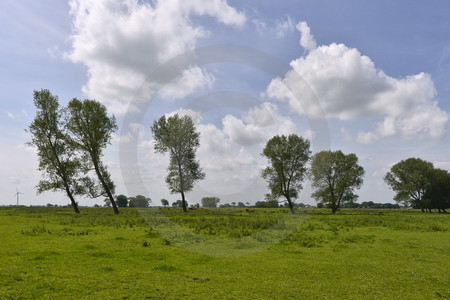 Landschaft bei Jemgum