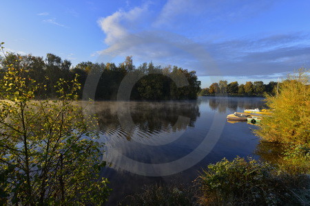 Morgennebel