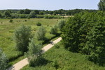 Radwanderin im E + E - Gebiet Hasetal