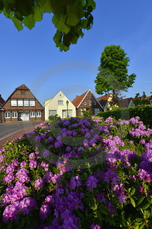 Petersilienstrasse in Haseluenne