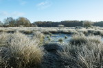 Landschaft im Raureif