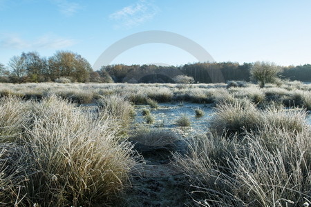 Landschaft im Raureif