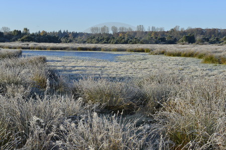 Landschaft im Raureif