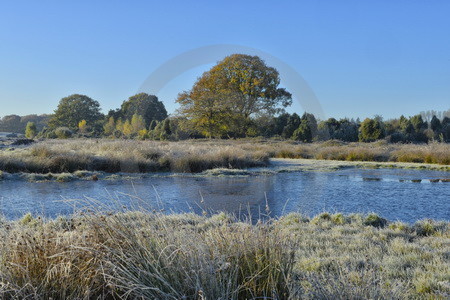 Landschaft im Raureif