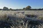 Landschaft im Raureif