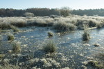 Landschaft im Raureif