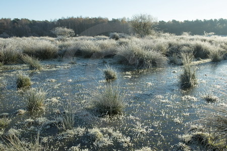 Landschaft im Raureif