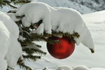 Rote Christbaumkugel