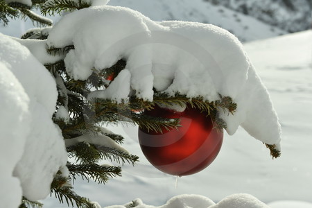 Rote Christbaumkugel