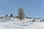 Winterlandschaft