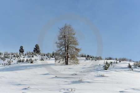 Winterlandschaft