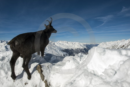 Oetztaler Alpen