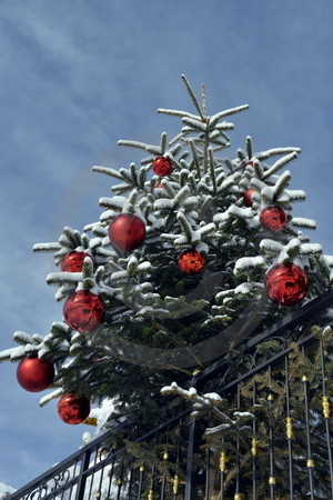 Weihnachtsbaum