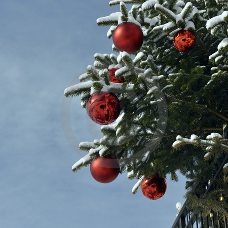 Weihnachtsbaum