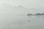 Nebelstimmung am Kochelsee