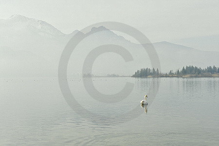 Nebelstimmung am Kochelsee