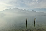 Nebelstimmung am Kochelsee