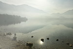 Nebelstimmung am Kochelsee