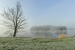 Nebelstimmung am Haselünner See