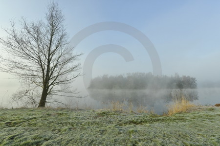 Nebelstimmung am Haselünner See