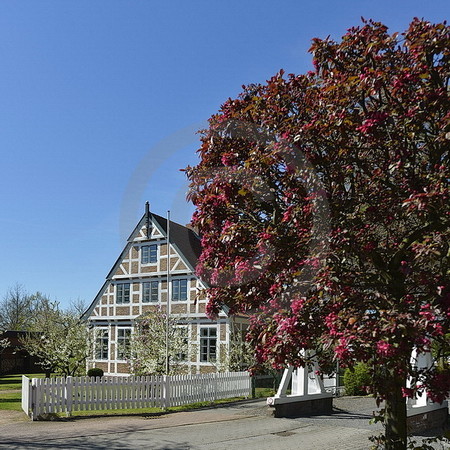 Buntfachwerk in Steinkirchen