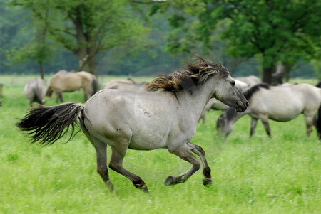 Auf der Flucht