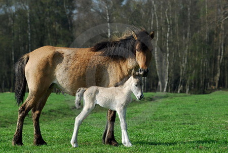 Mutter und Kind