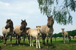 Familienfoto