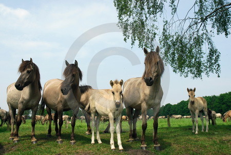 Familienfoto