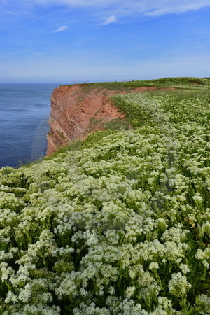 Helgoland