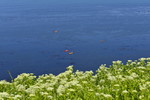 Paddelboote vor Helgoland