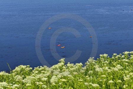 Paddelboote vor Helgoland