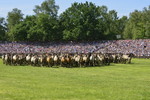 Dülmener Wildpferde in der Arena