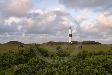 Abendstimmung am Kampener Leuchtturm, Insel Sylt